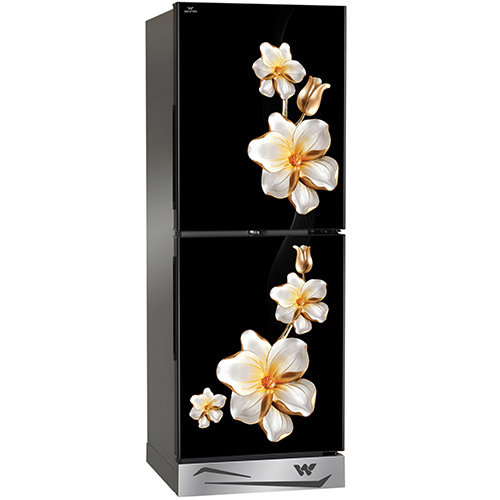 Walton Direct Cool Refrigerator 223L | WFB-2B3-GDXX-XX