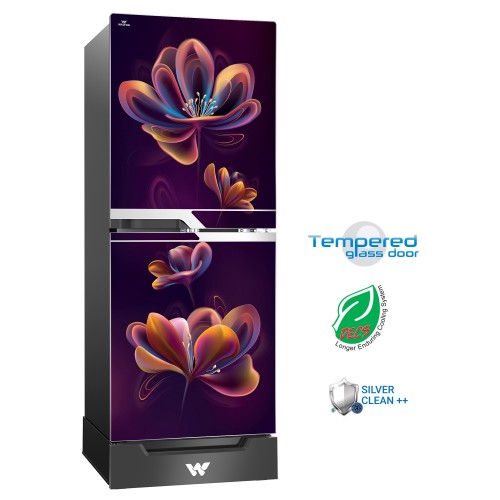 Walton Direct Cool Refrigerator 213L | WFA-2A3-GDEH-XX